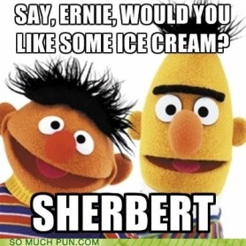 funny-puns-sherbert