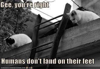 humans-not-land-feet