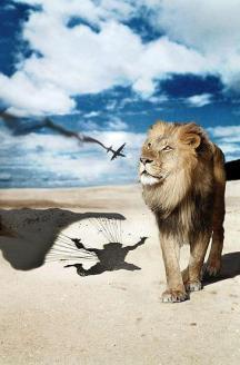 lion-wait-parachute