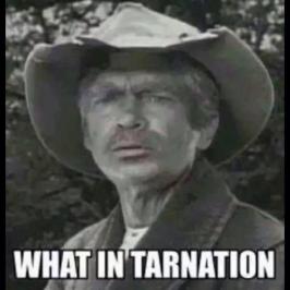 10408021_10152735754077162_2750869895905623881_n