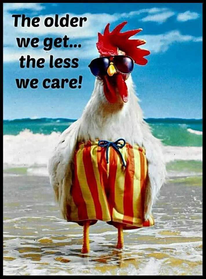 13600332_819805994787797_8263544622962162218_n