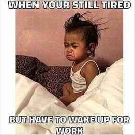 81347d404e375aa19d5394351bcb8d68