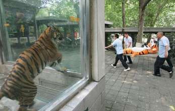 zyfzhuyaduf9q31h7lje