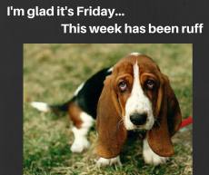 11999042_876265442409489_3799609364057771883_n