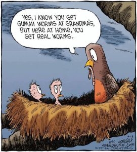 16864609_1678647072427733_5053674082225977619_n