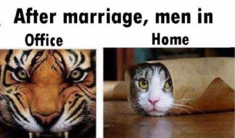 after-marriage-men-in-office-and-home-difference-funny-image