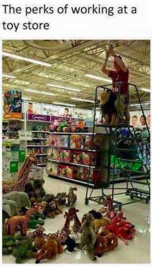 17757437_1699164873709286_6192109011469367884_n