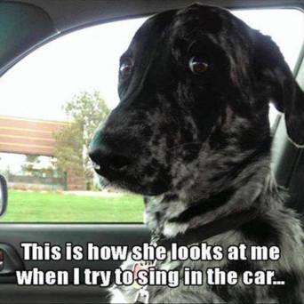 17861879_1701627563463017_473172442225781513_n