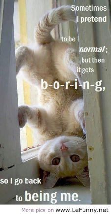 7eb0f5882b4b5201ff4ad549de8fa655