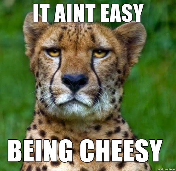 Thursday’s Jokes, Quotes, Quizzlers and Teases! The World According