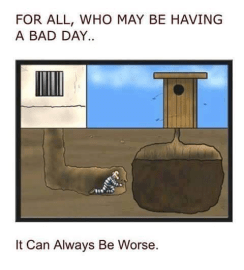 17951608_1700729763552797_1697411350013612300_n