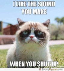funny-grumpy-cat-hates-you-when-you-are-talking