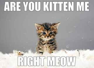 755a4d431778e9363cccb8e42668e482