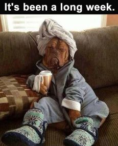 c0f3339bc2bb8f8ad939c5364cf54d42