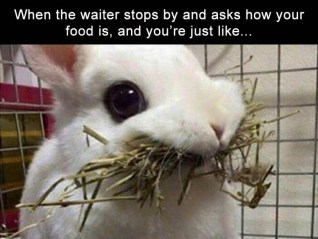 4bbfbb2a404caea1665e92bcf3a0e226