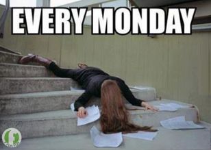 e1cded00becd525554ff61f13bc0e351--funny-monday-memes-funny-memes