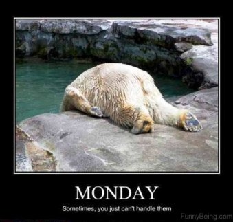 Monday-Sometimes-You-Just-Cant