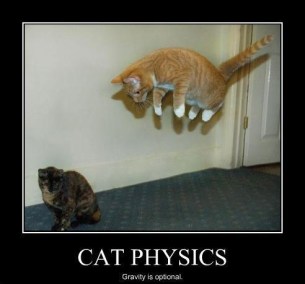 86cd192f2284eac34edb9faaba5c9649--funny-cat-pictures-funny-pics