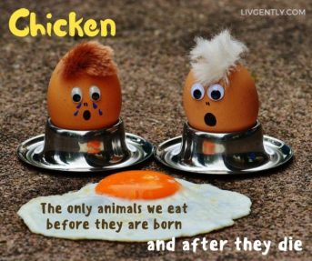 humor-funny-definitions-chicken-only-creatures-eaten-before-birth-and-after-death-cover-pic-640x537