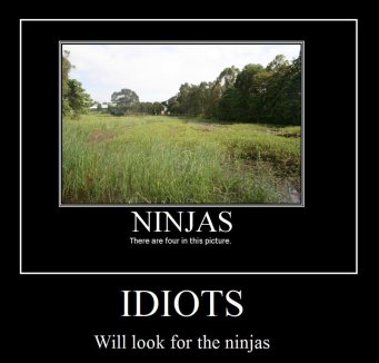 ninja_demotivational_by_barbaspwns-d39siem