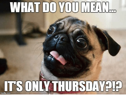 what-do-you-mean-its-only-thursday-p-ingfip-com-14572284