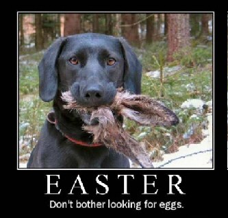 easter_dog