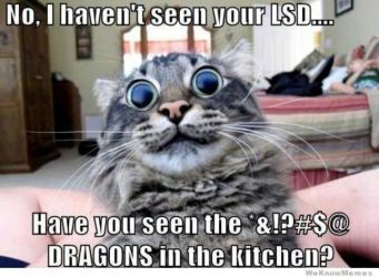 no-i-havent-see-your-lsd-have-you-seen-the-dragons-in-the-kitchen