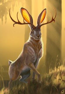 jackalope__2_by_intothebear-dacllqo