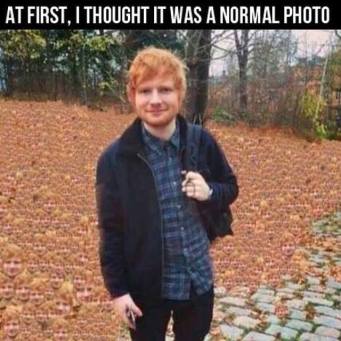 14355598_1235433499832395_3634523269820344151_n