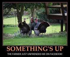 35005a5475e923b6e5bb73ada93c7a36--thanksgiving-meme-thoughts