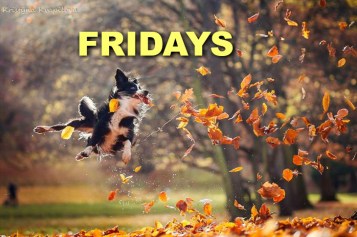 b192c886-4f36-45cf-b771-65f090ac56df