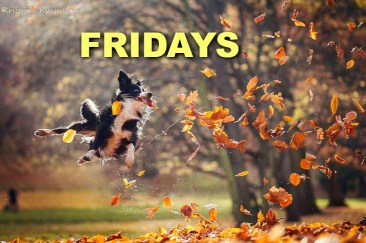 b192c886-4f36-45cf-b771-65f090ac56df