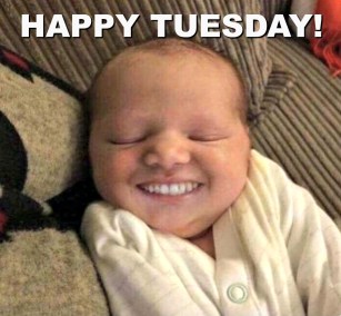 832271ee9caa6cc26b228a0971961d09