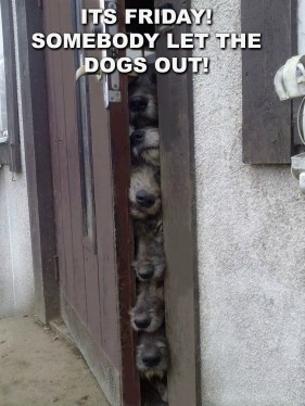 e5e47438-f34e-4a5a-be59-36a7da39450f