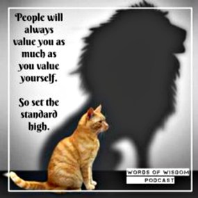 53f80a62fdf33f3c6fc982a01d0b6784