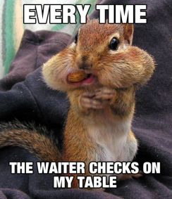 Funny-Squirrel