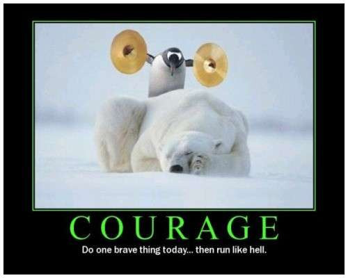 funny uplifting quotes Unique How Much Do You Charge for Wednesday Motivation Meme Photos