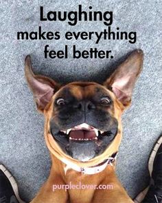 c8398b2f1f8f57a58508b650a0a9b1f9--pin-it-memes