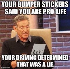 driving-meme-009-determined-bumper-sticker-was-a-lie