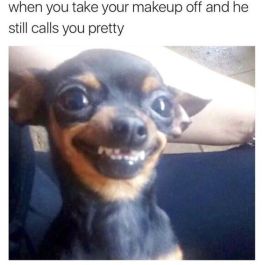 e80b865fb4163b5d84b444de2cd59298