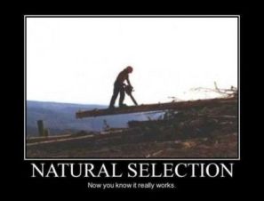 282d932ceffa20e76345a4e0943c3155