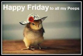 61966218_2476884612341993_6508394248365146112_n