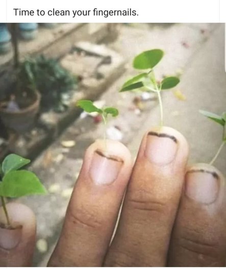 62309467_2478982468798874_1707115815007944704_n