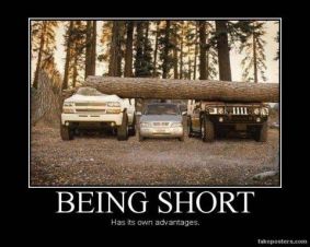 55cf29e8695d105ba35dfe7dc06fced5