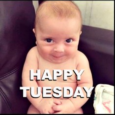 5a59df9449339d2dc166686433ea8bd3