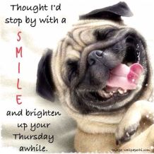 169858-Brighten-Up-Your-Thursday