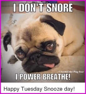 happy tuesday meme Beautiful Happy Tuesday Meme Reverse Search