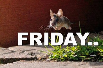 2711a726-240d-4e6d-a963-6241058c3675(1)