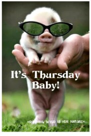its-thursday-baby-ruining-wyld-is-her-nature-top-27-54019200