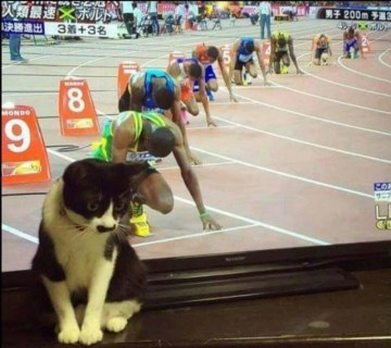 c0ae94577378e2df7b86d9189cdf434a.jpg.pro-cmg